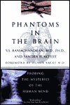 Phantoms in the brain